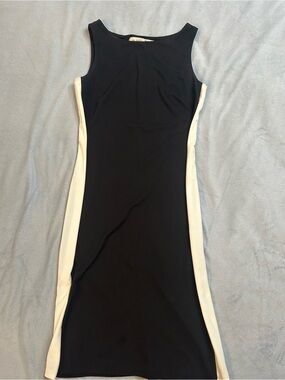 ALFRED SUNG Black Dress with Cream Side Panels